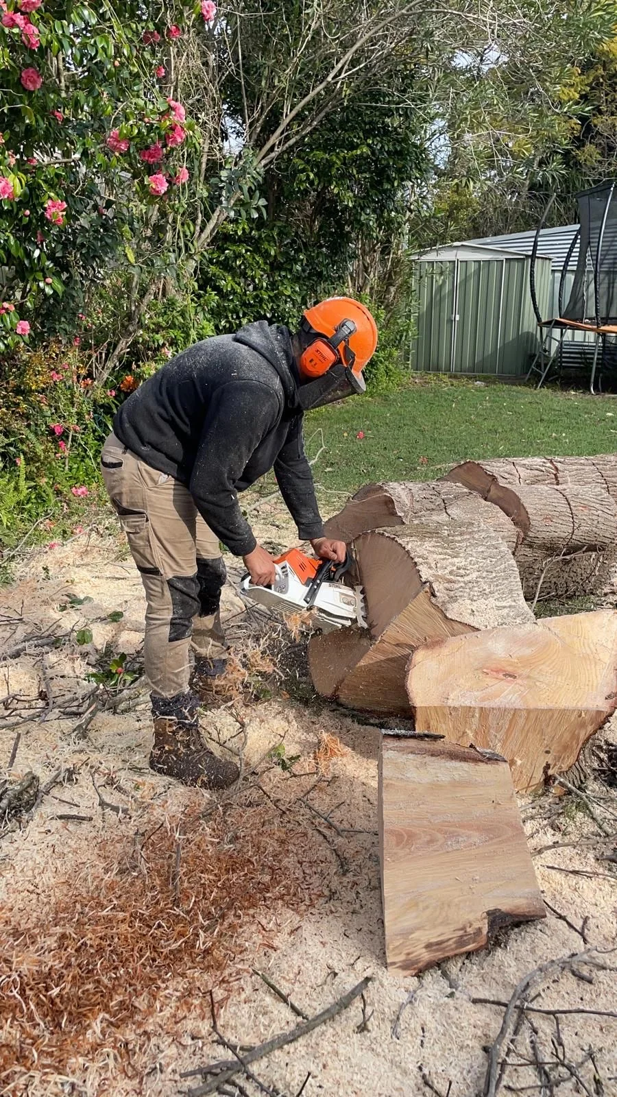 Cutting large trunk sections