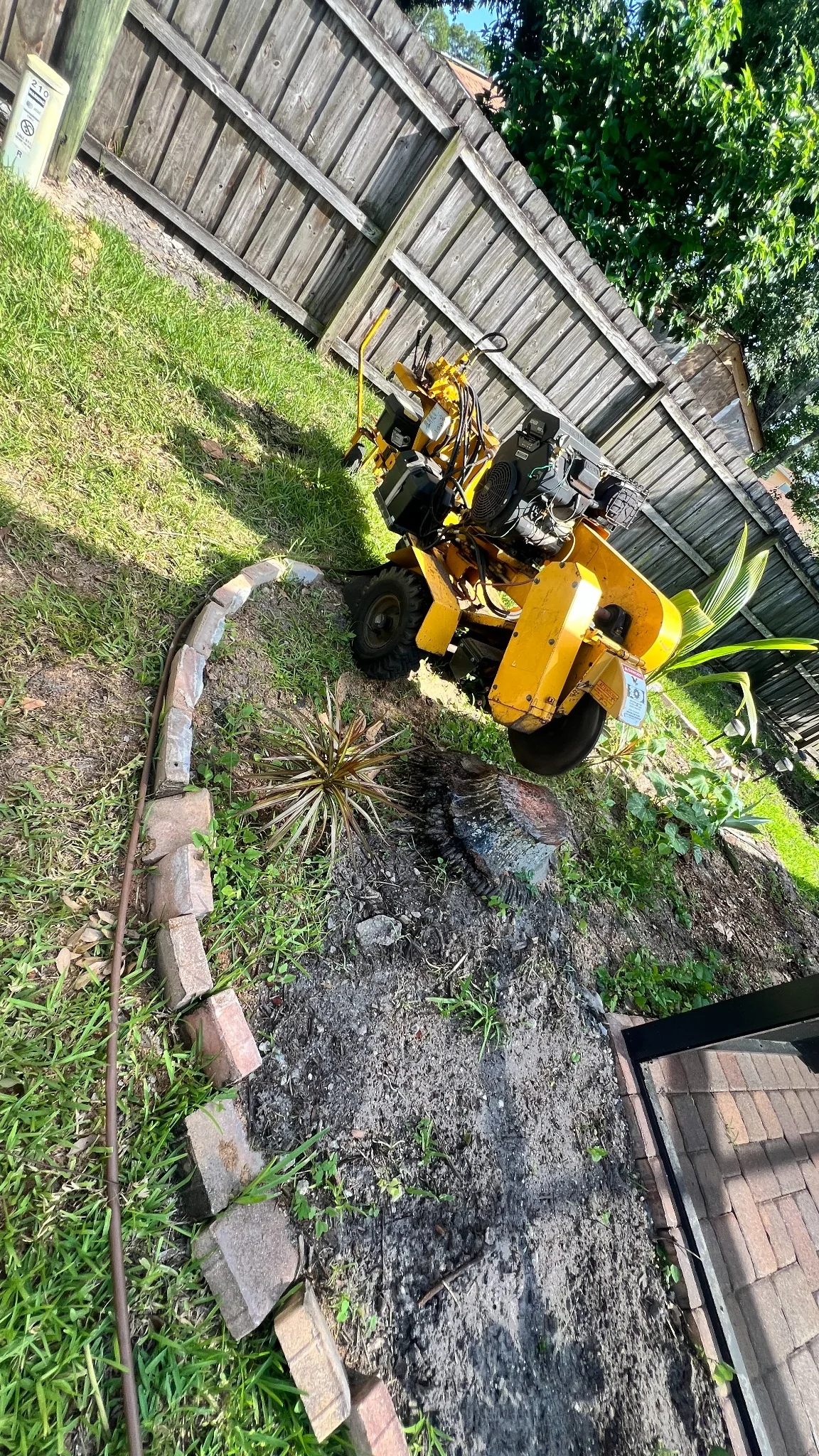 Stump grinder at work